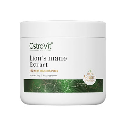 Recept med Lions Mane