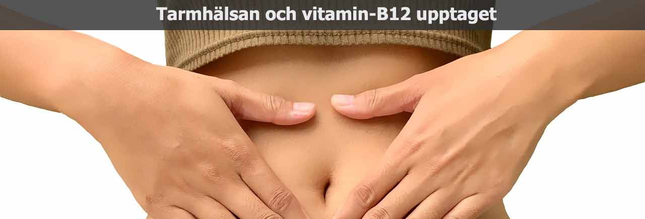 Vitamin B12 och Tarmfloran