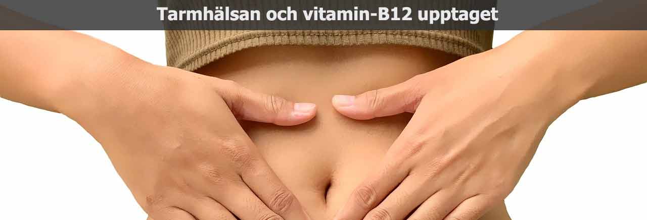 Vitamin B12 och Tarmfloran