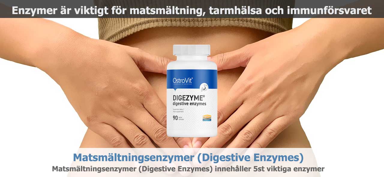 Vad är Amylas matsmältningsenzym