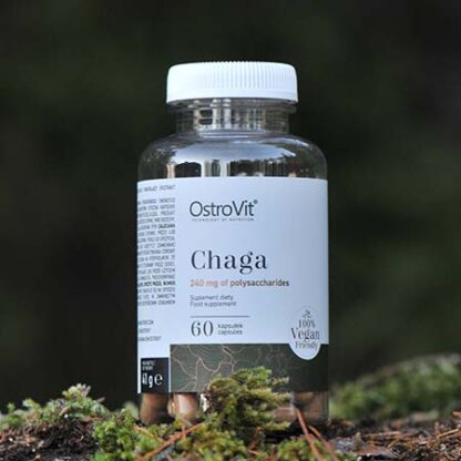 Chaga Extrakt (Sprängticka-pulver) 600mg 60-kapslar