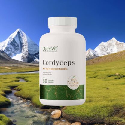 cordyceps-extrakt-500mg-hogdoserad-60-kapslar_2