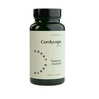 Köpa högkvalitativt Cordyceps Great Earth 500mg Eko 60 kapslar kosttillskott - online