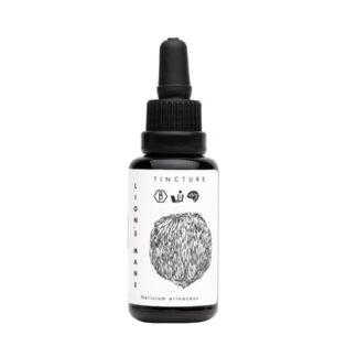 KÄÄPÄ Lions Mane Extrakt-Tinktur EKO 30ml