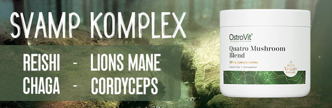 svampkomplex_banner